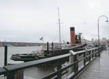 Hercules tug